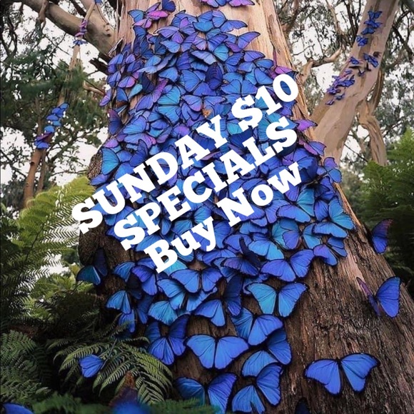 $10⬇️SUNDAY💖Pretty Vulgar Nightingale Palette - Picture 11 of 11